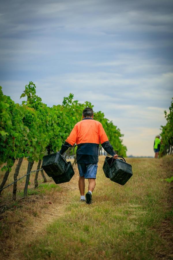 Hanging Tree Wines Pokolbin Zewnętrze zdjęcie